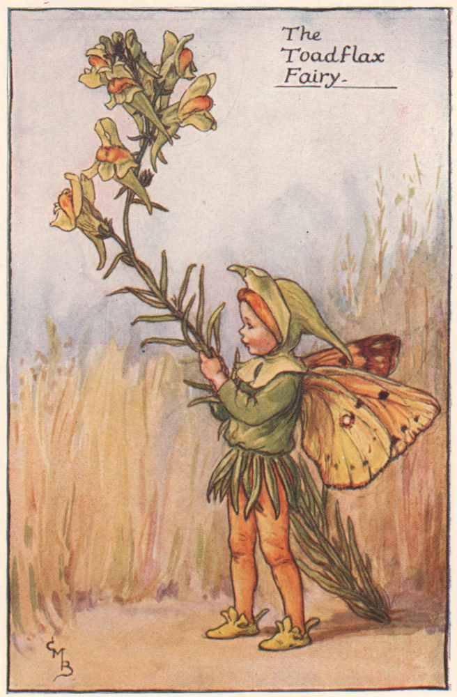 Toadflax Fairy by Cicely Mary Barker. Summer Flower Fairies c1935 old print